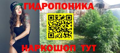 PSILOCYBIN Можайск