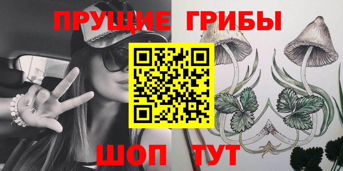 продажа наркотиков  Псилоцибиновые грибы Magic Shrooms  Сертолово  Вход с VPN  Псилоцибиновые грибы прущие грибы 